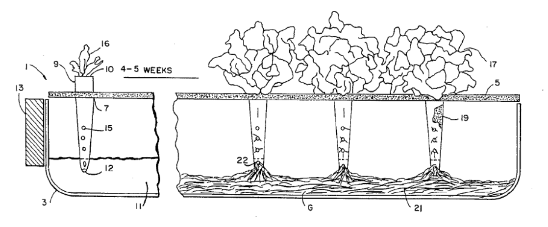 Tegning lånt fra U.S. Patent 5,533,299 Non-circulating hydroponic plant growing system (B.A.Kratky). Kratky Method Diagram